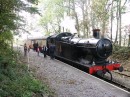 pict2143 * Europe, Britain, Mendip Vale Station, East Somerset Railway * 2560 x 1920 * (3.34MB)