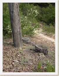 PB170177 * The leaning pole's foundation. Obviously this spot has a 'history' juding by the stumps. * The leaning pole's foundation. Obviously this spot has a 'history' juding by the stumps. * 3648 x 2736 * (2.19MB)