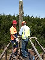  (Loftus, Royal National Park), 99u