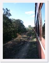 pict4634 * Thirlmere-Picton section of the loop line. The along LL52 breakdown train. * 1920 x 2560 * (2.32MB)